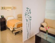 Slider image (7) World Stem Cells